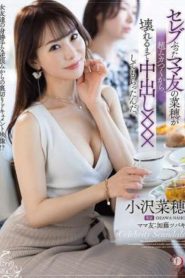 DLDSS-401
